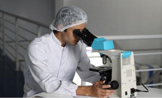 國際微電子產業中心 國際微電子產業中心