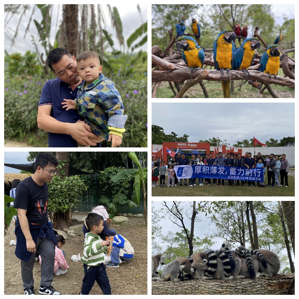 厚積薄發(fā),蓄力前行:大手牽小手,共圓實(shí)佳夢 厚積薄發(fā),蓄力前行:大手牽小手,共圓實(shí)佳夢