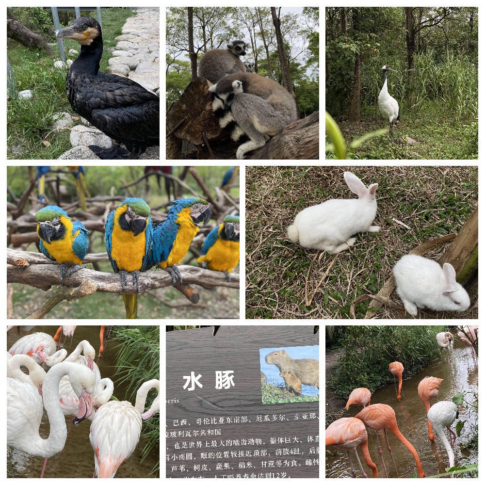 厚積薄發(fā),蓄力前行:大手牽小手,共圓實(shí)佳夢 厚積薄發(fā),蓄力前行:大手牽小手,共圓實(shí)佳夢